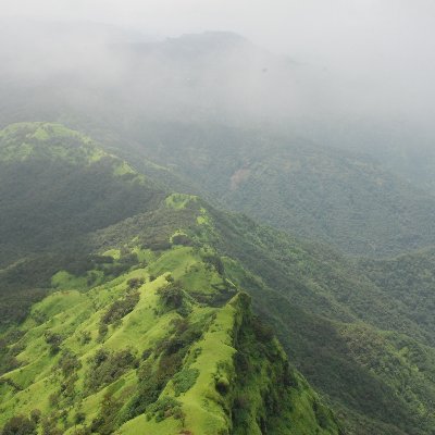 Sarveshladx's profile picture. 