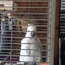 Emmanuel Hall - @highjacker13 - Twitter