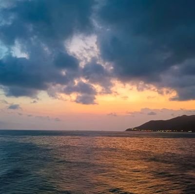 Zorro20159750's profile picture. 