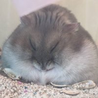 黒華 (@finalred0314) 's Twitter Profile
