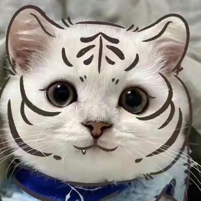 Davinci11711's profile picture.
