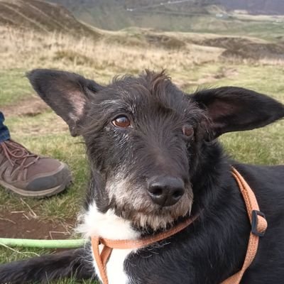 licour_antoine's profile picture. acting makes you happy