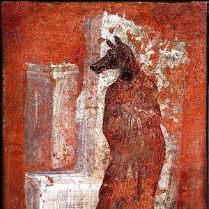 somnography's profile picture. 🌲⚖️