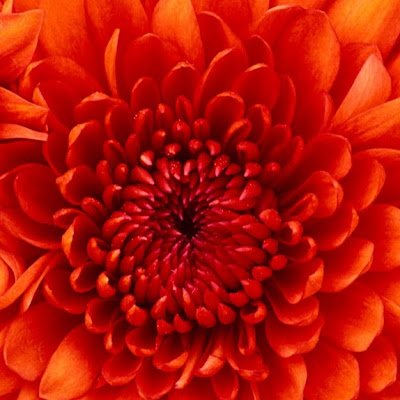 mariaIrudayara1's profile picture. 