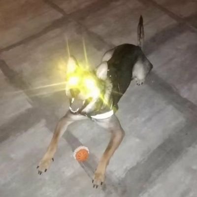 Parth67493578's profile picture. OH THODI PEN DI!!!!