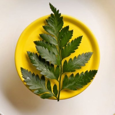 Noorkhwaja166's profile picture. دايما حاول ان تقدم المساعدة للاخرين وترك اثر جميل 🌹