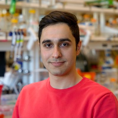 Exploring the applications of ML/DL/RL for intelligent design of SynBio systems. BioE Grad Student at Baker lab @UWproteindesign 🧑🏻🔬🔬🏳️🌈