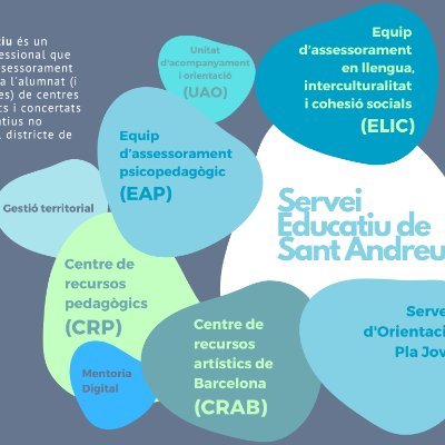 El Servei Educatiu Integrat Sant Andreu acompanya els centres educatius del districte: CRAB, CRP, EAP, ELIC, Gestora territorial, Mentor digital, UAO i Pla Jove