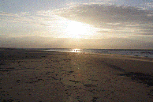 freddiegume1's profile picture. Just for fun, politics, economics, cloud, Brabant, Paris, Scandinavia,Ireland,France, Canada.  Over smaak valt niet te twisten.