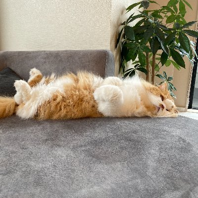 やまださんのプロフィール画像