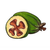 qpeuxoa (@toteschefrukt) 's Twitter Profile