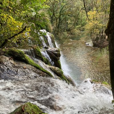 BonninAnneSoph1's profile picture. Professeur des écoles Cycle 2 et @USEP78