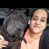 Kanchan Bains (@kaj_bains) 's Twitter Profile Photo