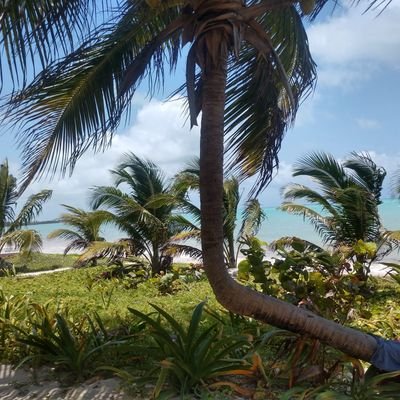 Evynrude14's profile picture. Patriote jusqu'au fond des tripes issue d'une famille de combattants, fière belle-fille de FFI indicatif Achille ❤️🇫🇷❤️🇫🇷❤️🇫🇷❤️🇫🇷