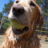 rootster1's profile image