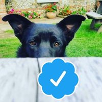 Ray Blockley ♐🌧️💙🇪🇺🇺🇦 (@raymelbee) 's Twitter Profile Photo