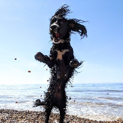 drmoderate's profile picture. Dad. GP. Not passionate.