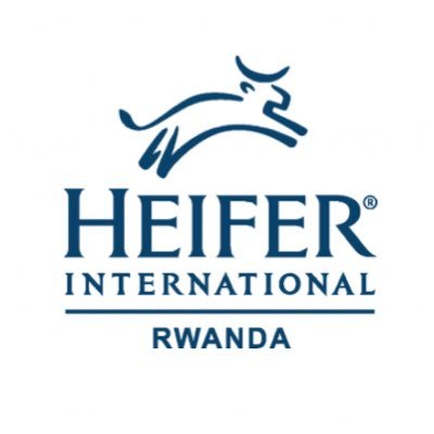 Heifer International started work in Rwanda in 2000. We support farmers to set up their own cooperatives, share knowledge, pool resources & access financing.