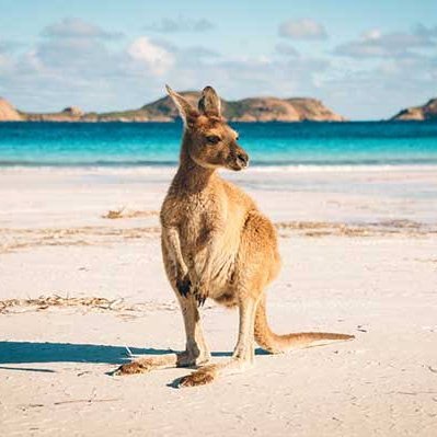 Australia Travellers Guide