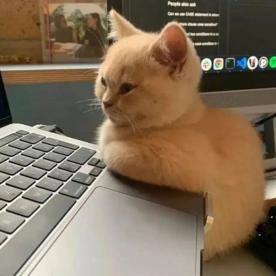 mahdokhtgh's profile picture. برنامه نویس ، همین