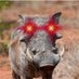 Crypto Noob (@cryptonoobio) Twitter profile photo Crypto Noob (@cryptonoobio) Twitter profile photo