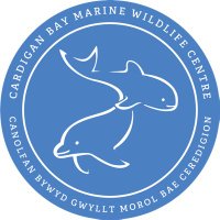 CBMWC News(@CBMWC) 's Twitter Profile Photo CBMWC News(@CBMWC) 's Twitter Profile Photo