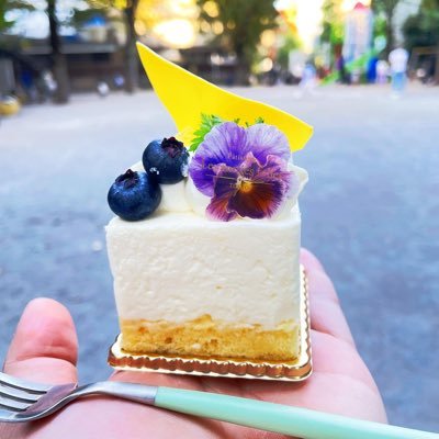 🍰青空の下でケーキを食べる活動を推進中　　　　　　　🍰自然を感じながらのびのびケーキを楽しむ 🍰お世話になっている公園を日々清掃