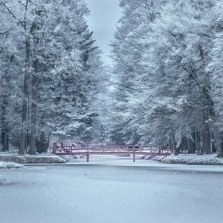 CantuCaoimhe's profile picture. 💯💯follow. back 💯💯