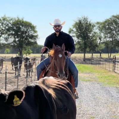 Part-time rancher, full-time technologist. Focused on the things that make the internet go hummm...

Building @cleanbrowsing and @noc_org and @logwithtrunc