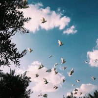 Özlem'e (@manoooau66) 's Twitter Profile