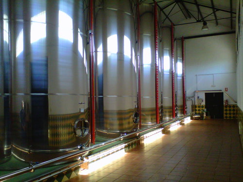 Cooperativa Virgen del Robledo 1961-2011 50 años juntos por la Cooperativa Aceite de Oliva Virgen Extra Ecológico/ EVOO/ Organic Extra Virgin Olive Oil