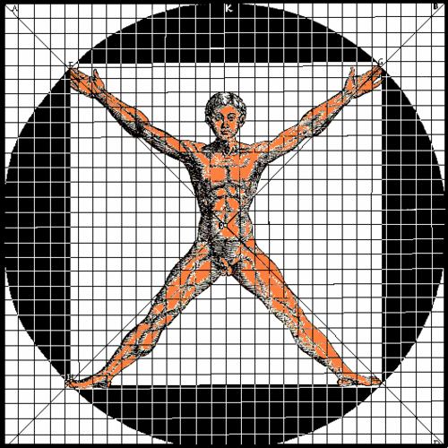 Electronic Engineer. Workplace safety, logistics, industrial plants. Associate Professor University of Perugia. Picture Vitruvian by G. CAPORALI (1475-1555)