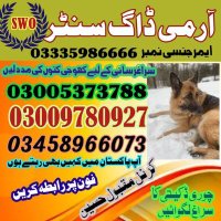 Army Dog Centers (@fasihali18) 's Twitter Profile