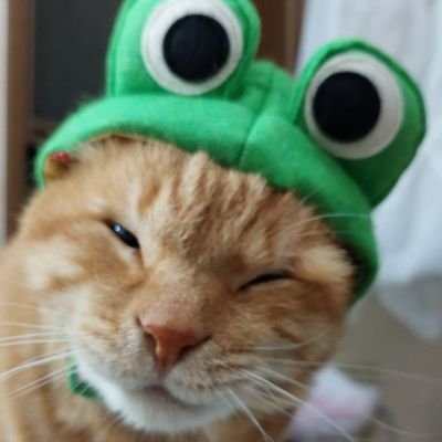 断捨離NSP】1. 💿📀はこの画像品のみになりました。 タイトルと開封