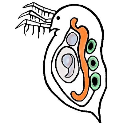 ukaiumiu's profile picture. 変な生き物大好き人間、海の生き物など中心にハンドメイド作品作っています。無言フォロー失礼します。