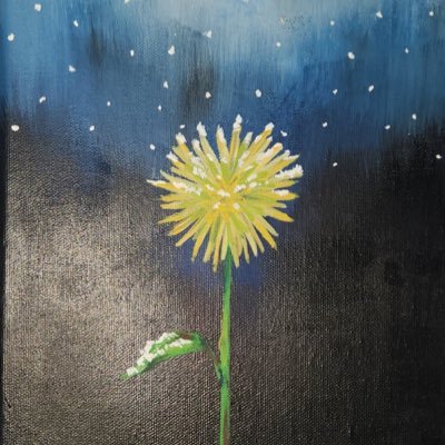 somanyproblems3's profile picture. 