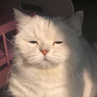 Todd55252793's profile picture. 