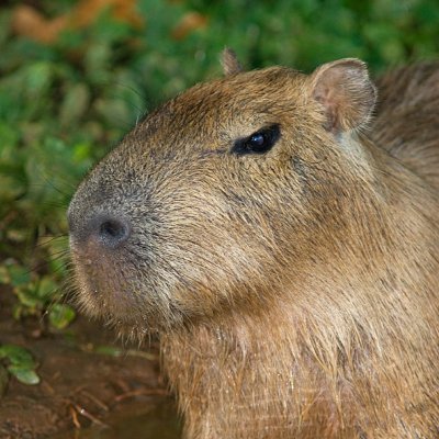 三3三さんのプロフィール画像