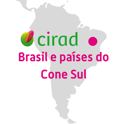 Direção regional do Cirad no Brasil e países do Cone Sul
Dirección Regional del Cirad en Brasil y países del Cono Sur
DR du Cirad au Brésil et pays du Cône Sud