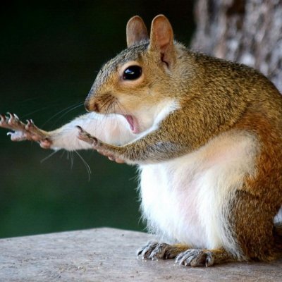 Eleutheria11645's profile picture. 30代男
170cm60kg
よろしくお願いします！