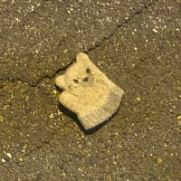 しょうや (@yoooooooo_u) 's Twitter Profile
