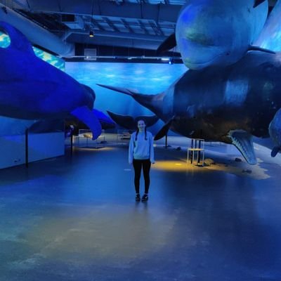 PhD Researcher at Marine MEGAfauna Lab @newcastlemarine @ecology_ncl 🐬 | Offshore Renewables and Marine Mammals #AuraCDT | #SciComm