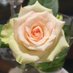 Misty_rose (@purple_rain1977) Twitter profile photo Misty_rose (@purple_rain1977) Twitter profile photo