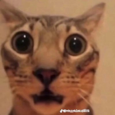 Charlie16207358's profile picture. 19