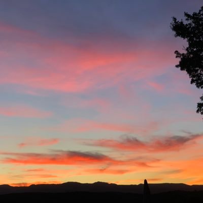 chelseablues93's profile picture. 