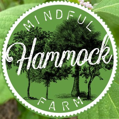 FarmMindful's profile picture. Family-owned subtropical food forest farm practicing mindfulness & permaculture. Safe haven for South FL wildlife & native plant species. 🌱☮️ Est. 2022
