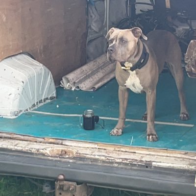 Chad41509301's profile picture. 