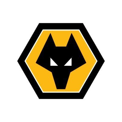 الحساب الرسمي لنادي ولفرهامبتون واندررز @Wolves باللغة العربية. هيا يا ذئاب! 🐺💛