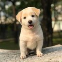 Công Phương Phù - @ph1_cng - Twitter