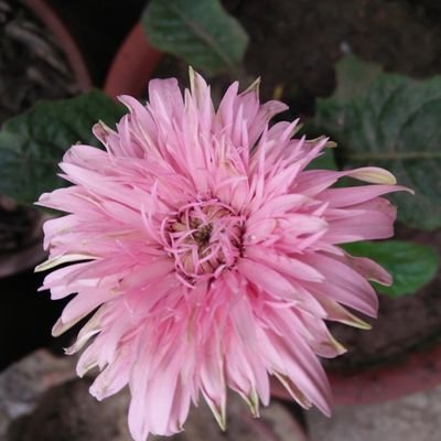 Marufabagam's profile picture. Business